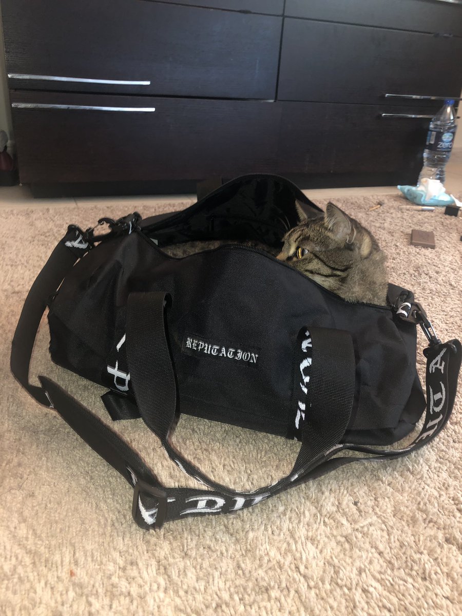 KeelySwift13's tweet photo. Got the duffel bag for Christmas. Trevor loves it. Thank you @emmie_lou22 @taylornation13 @taylorswift13 #reputationmerch #reptourmerch https://t.co/20F0AVmseY