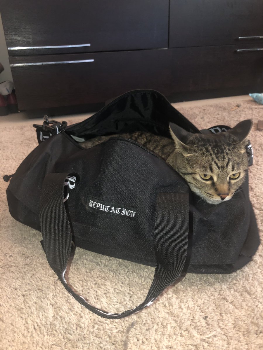 KeelySwift13's tweet photo. Got the duffel bag for Christmas. Trevor loves it. Thank you @emmie_lou22 @taylornation13 @taylorswift13 #reputationmerch #reptourmerch https://t.co/20F0AVmseY