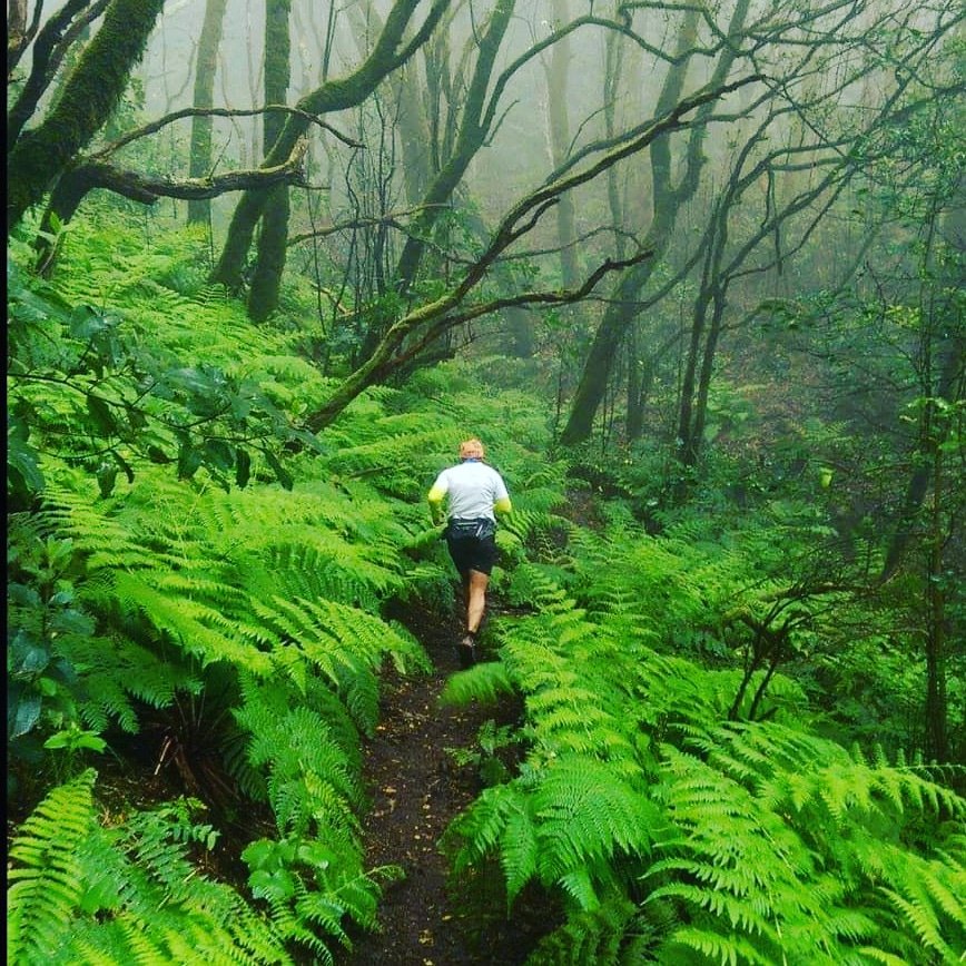 💥 <a href="/DesafioCaserios/">@DesafioCaseriosDeAnaga</a> ® Con #ANAGA ya nos ha tocado la #lotería, un lujo poder disfrutar de este paraíso 😍😍😍
➡FECHA: 6 DE ABRIL 2019
☝10 km 620 D+
✌21 km 1700 D+
👌38 km 3100 D+
🤟73 km 6250 D+
▶ Mas información e inscripciones desafiocaseriosdeanaga.com