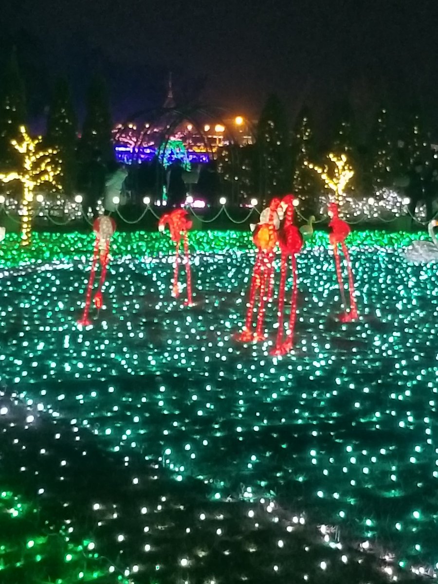 東武動物公園イルミネーション 東武動物公園イルミネーション