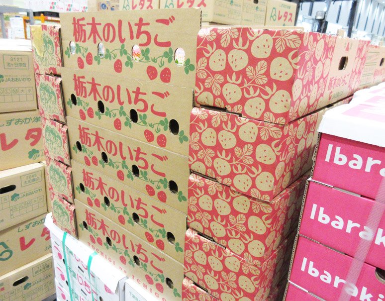 豊洲市場ドットコム No Twitter 最近初めて見かけた苺の箱デザインシリーズ 果物の箱って野菜よりｶﾜｲｲ ものが多いんですが 苺 はやっぱり断トツでｶﾜｲｲですね ｶﾜｲｲが溢れてます 豊洲市場散策 箱コレクション