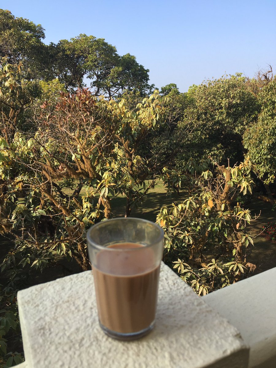 Chai with a view