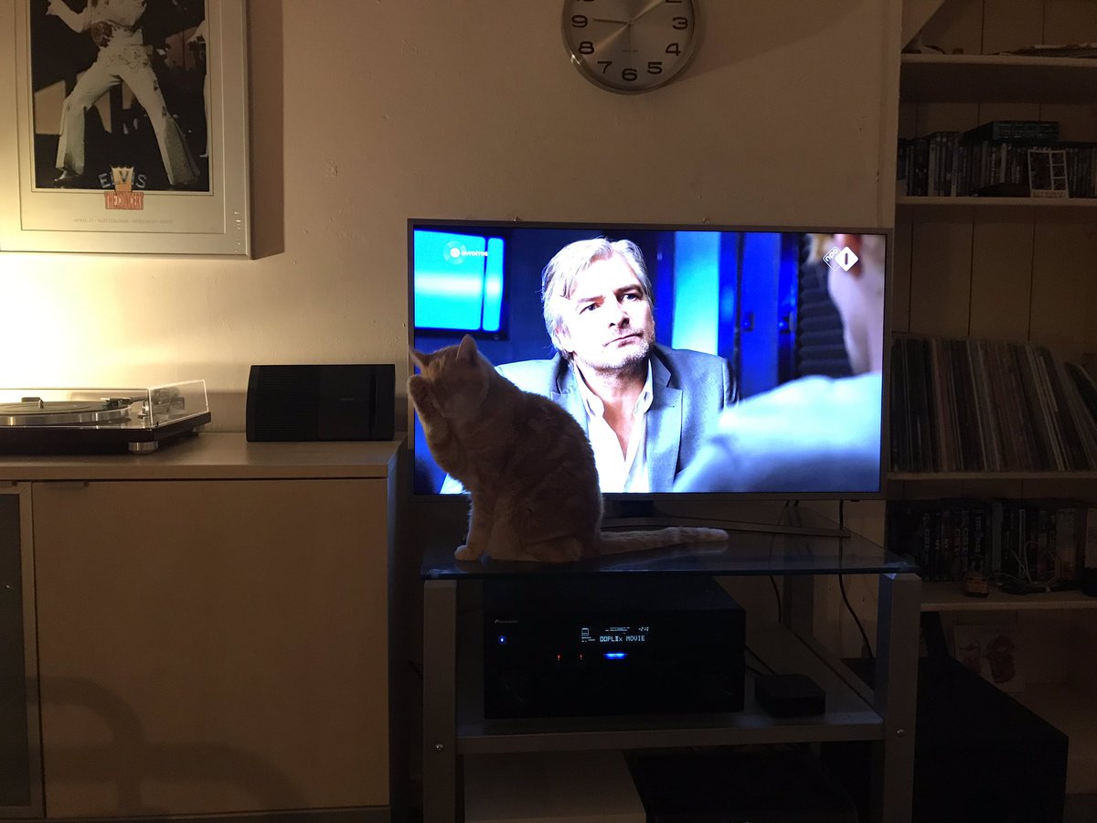 henk scholte-aalbes (@haalbes) on Twitter photo 