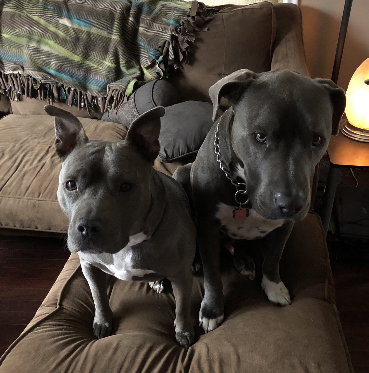 Sitting still for the camera