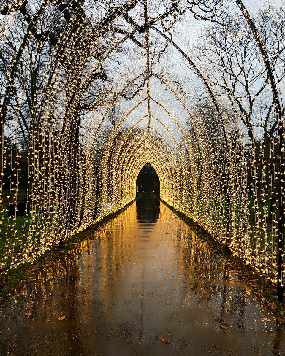 PamperCompany's tweet photo. MERRY CHRISTMAS🎄🎅🍾 Looking forward to pampering the nation again next year ❤️ #christmaslights #maketimeforyou 💋
#timeforpampering #relax #beauty #massage #wellness #celebrate #presentsunderthetree #weddings #luxury #events #weekend #pamper #kewgardens #thepampercompany https://t.co/Zw8hBfGVOL