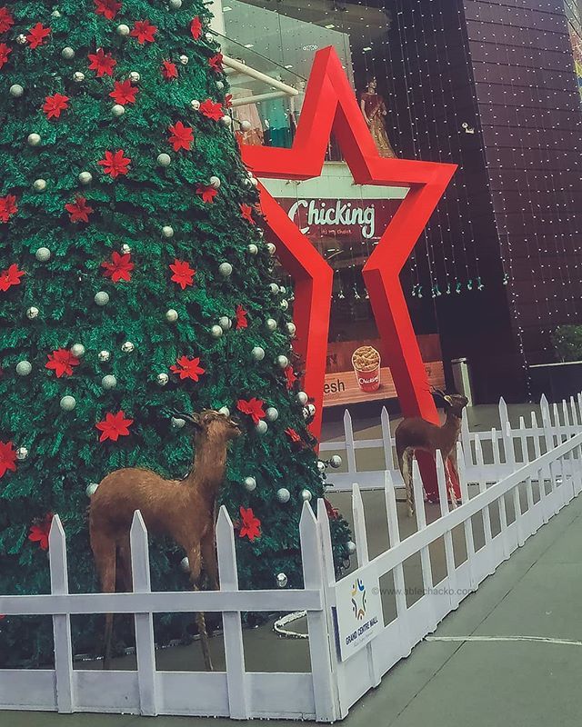 ablechacko's tweet photo. “ He who has not Christmas in his heart will never find it under a tree.” ...
.
.
.
.
.
.
#chrismas #chicking #seewhatablecaptured #photooftheday #instagood #photography #instago #christmastree #xmas https://t.co/72dMn5mCvo