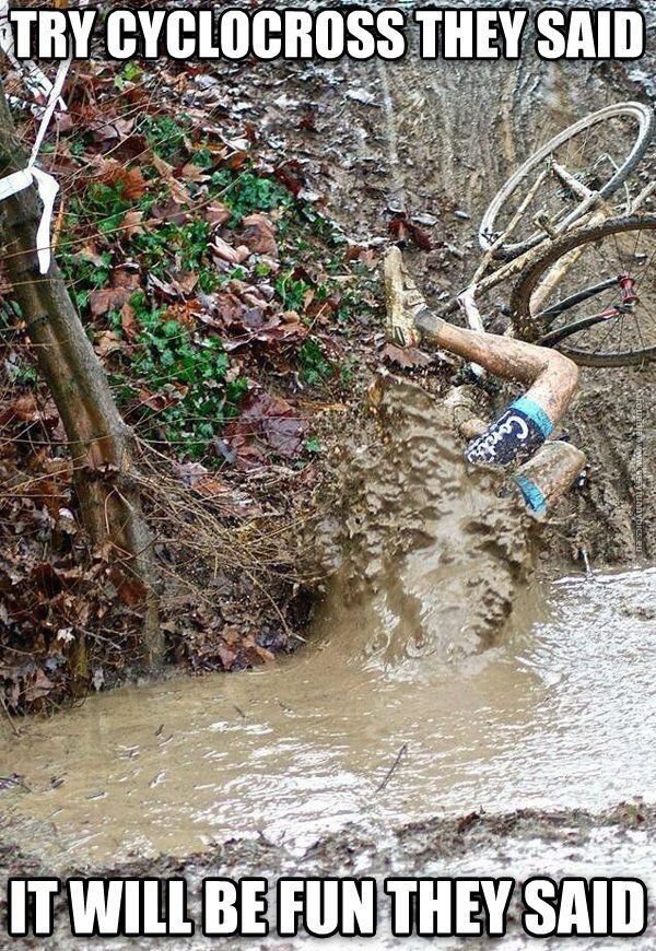 AllezSportives's tweet photo. CX/Gravel bike under the tree? 🤣🤣 #ruleV https://t.co/8cBHOMuDL9