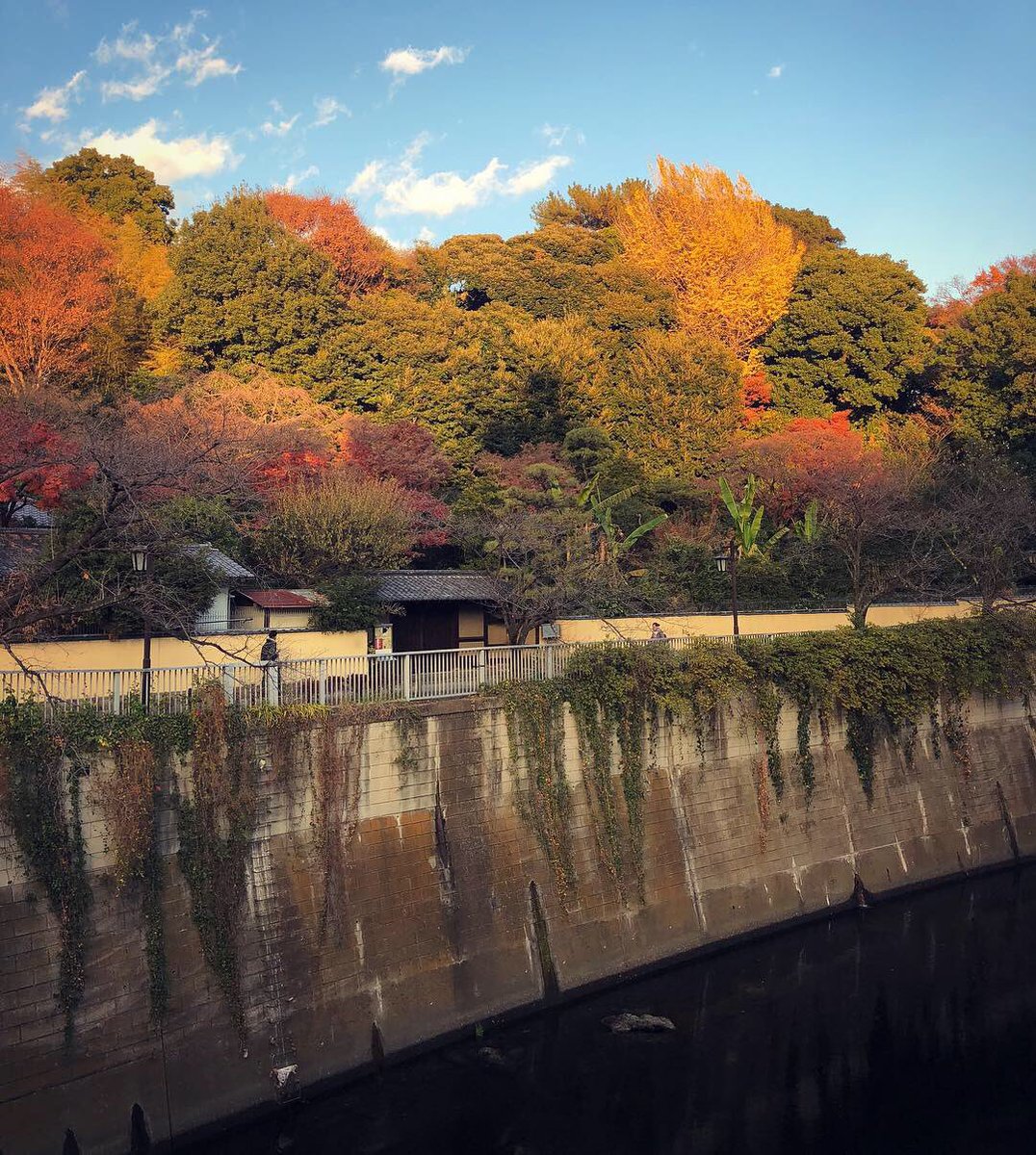 井嶋ナギ ちなみに 関口水神社は 神田上水を見守った神社 井の頭池を水源とする 神田上水 は この近く 江戸川橋の西側 の 関口大洗堰 でいったん堰き止められ 飲料水として水戸殿 現 後楽園 武家地 町人地へと給水し 残りは神田川に流した 井嶋ナギ ちなみに 関口水神社は 神田上水を見守った神社 井の頭池を水源とする 神田上水 は この近く 江戸川橋の西側 の 関口大洗堰 でいったん堰き止められ 飲料水として水戸殿 現 後楽園 武家地 町人地へと給水し 残りは神田川に流した