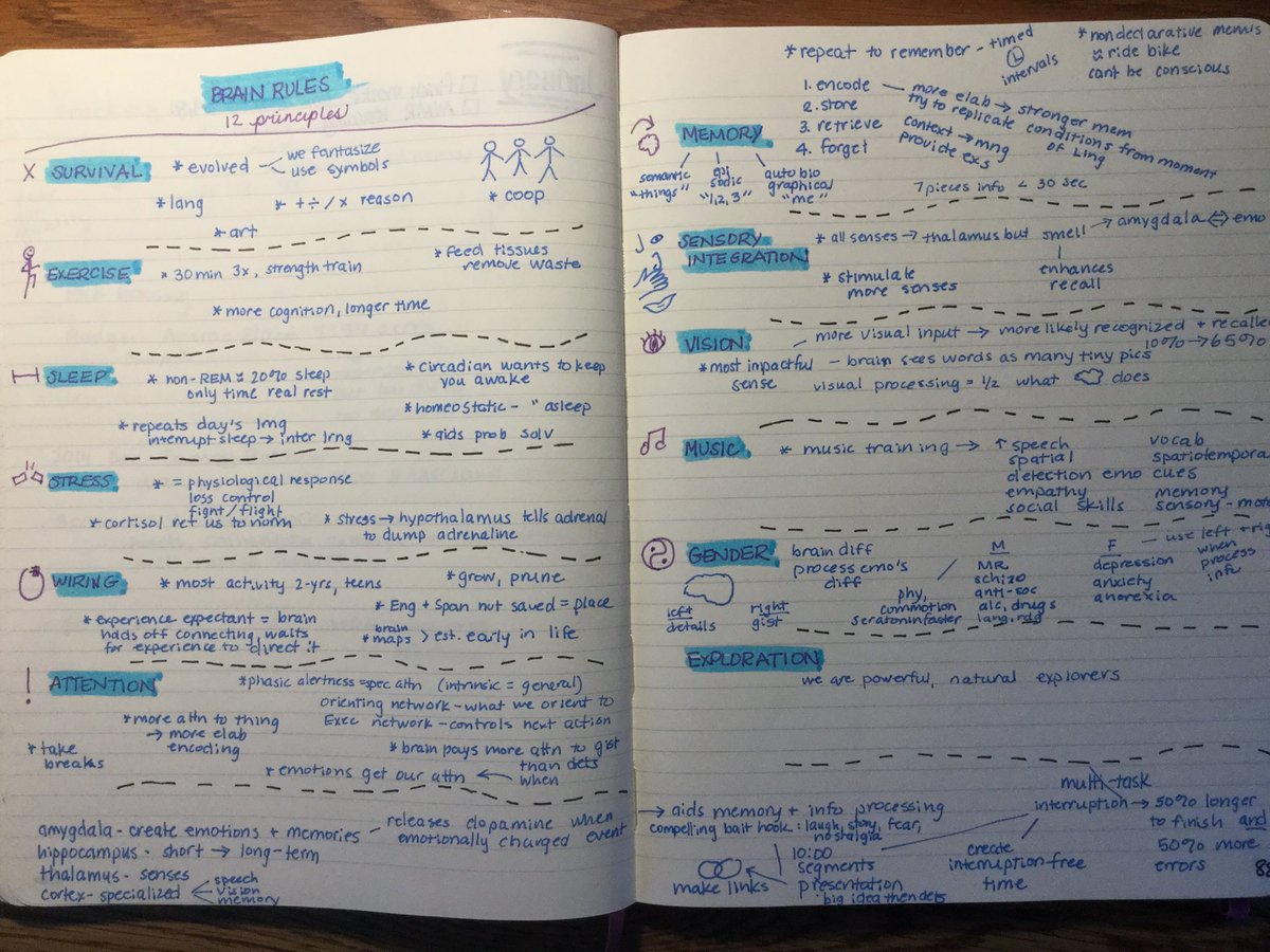 KacLLL's tweet image. My notes from Brain Rules, by John Medina
#brainrules
