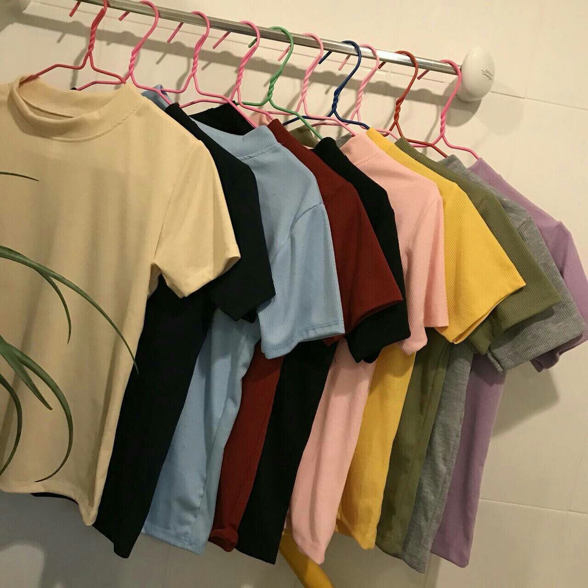 MADEHONEY6's tweet image. ⚡️คอเต่าแขนสั้น,แขนยาว⚡️
✔️ราคา 150 บาท
✅เนื้อผ้าคอตตอน 100%
✅อก : 36-40
✅ยาว : 21 
______________________________________________
#เสื้อคอเต่าไหมพรม #เสื้อคอเต่าแขนยาว #เสื้อคอเต่า #เสื้อสีพื้น #เสื้อผ้าวัยรุ่น #เสื้อผ้าสวยๆ #เสื้อผ้าแฟชั่นสวยๆ #เสื้อผ้าแฟชั่นน่ารักราคาเบาๆ