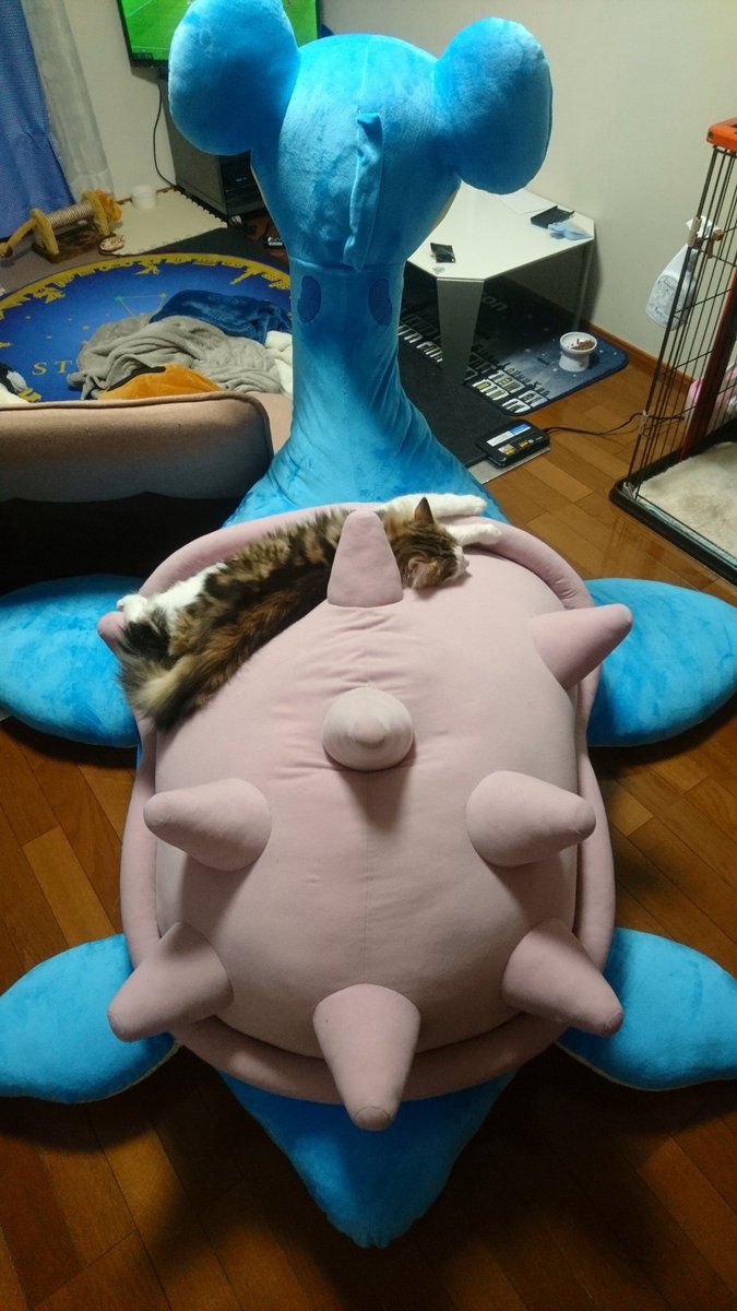 かな 等身大ラプラス 8万円 これは うり君の為に買ったんだな私 未来予知してたんだな私