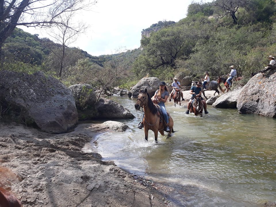 ¿Que te parece una cabalgata al medio día? 😯👏
Explora los ranchos al oeste de San Miguel.
•Una clase intensiva para montar 🐴🏇
•Un recorrido de 2 horas 

Más informes con Cacomixtle Guanajuato <a href="/CoyoteCanyonSMA/">Coyote Canyon SMA</a>