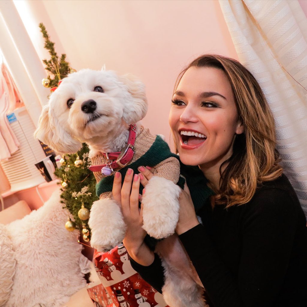 Pets Of Broadway tweet media