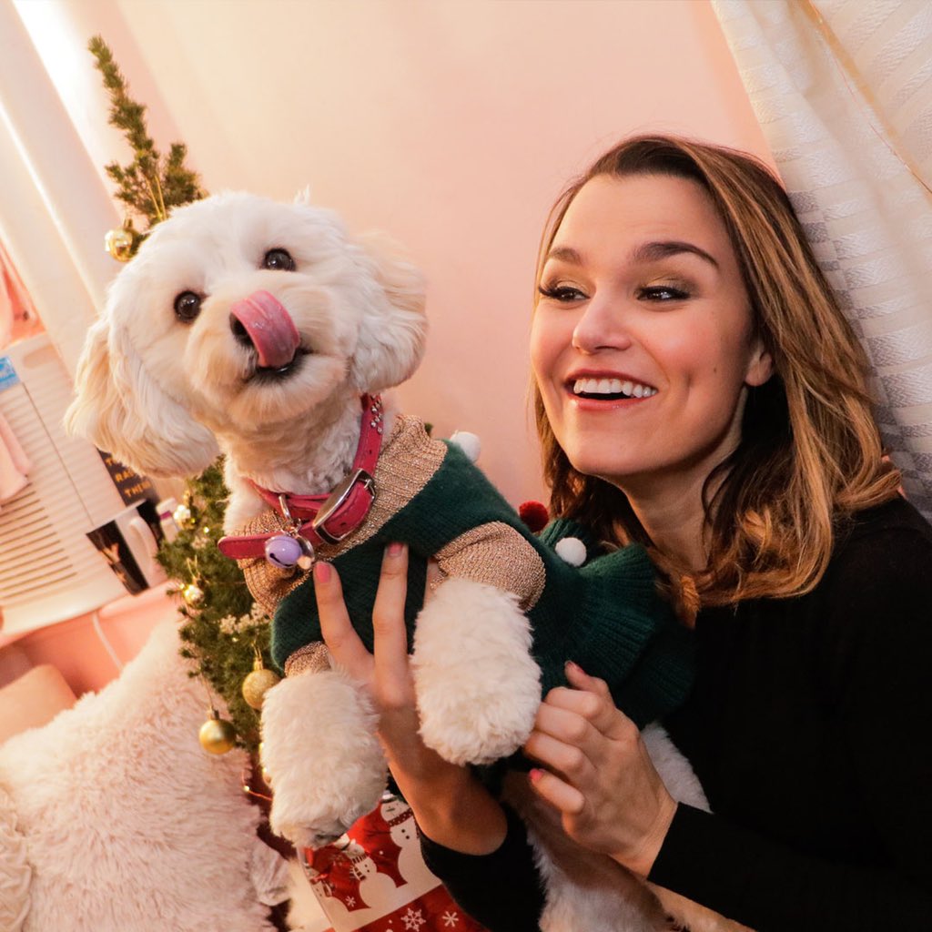 Pets Of Broadway tweet media