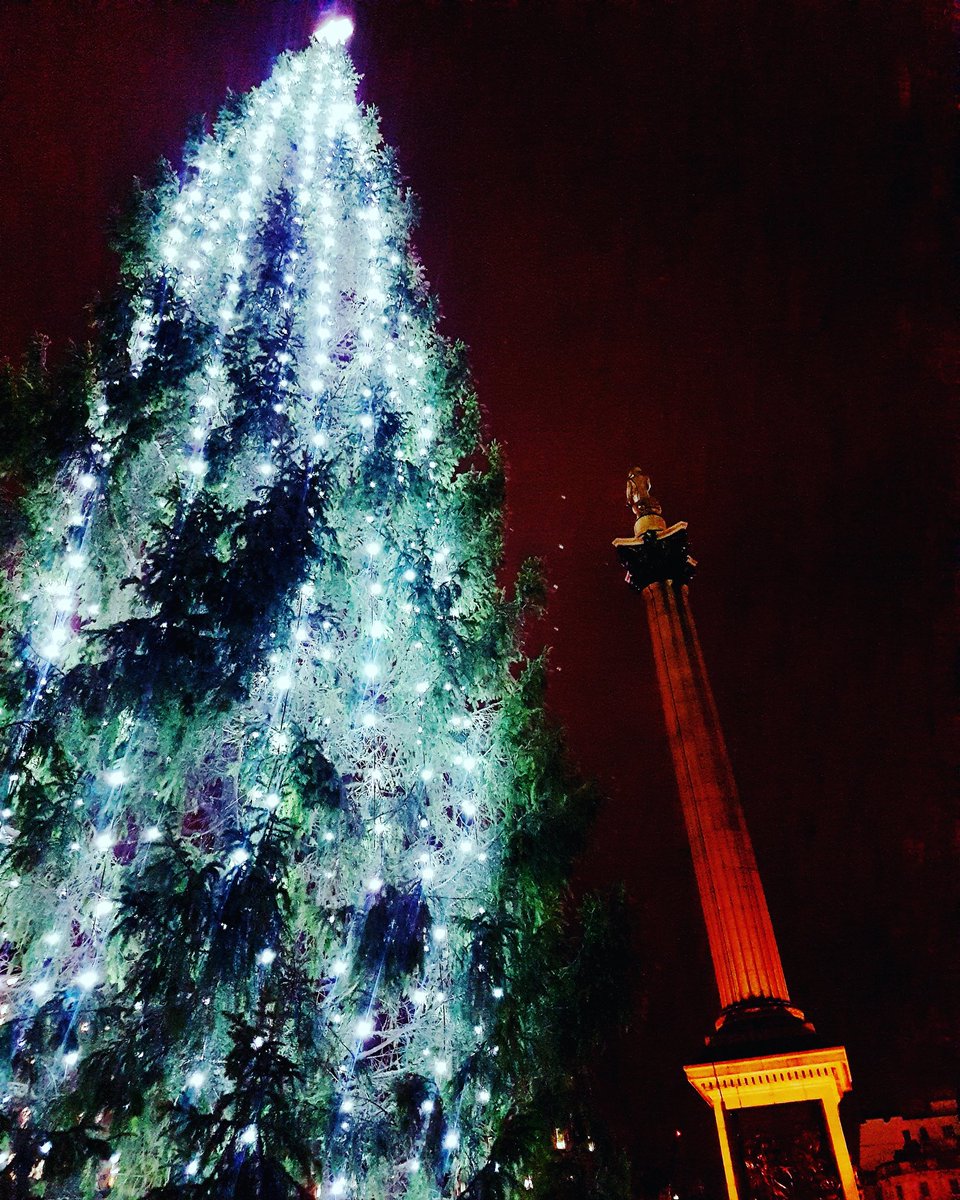 Yellow Moon Tours tweet media