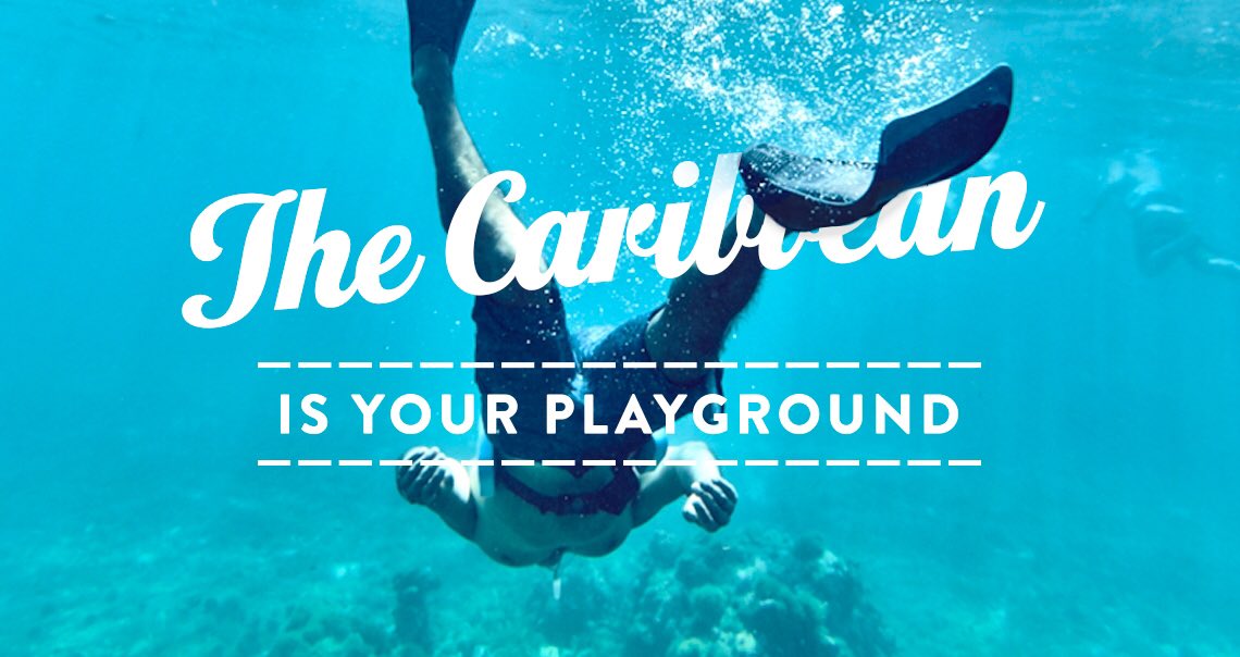 Hayley Heath tweet media