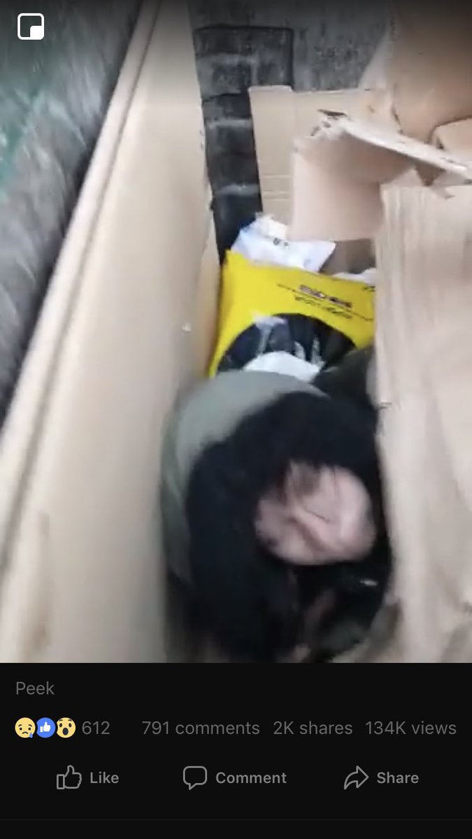 DrJessTaylor's tweet photo. This video of a homeless woman in London just came up on my Facebook.
Richard Taylor is doing a grand job of demonstrating how homeless women and girls in poverty are sexually exploited and trafficked by horrible misogynistic men.
😞 https://t.co/osvQLbOuUQ