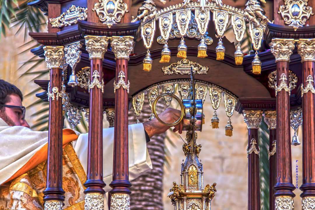 CorpusChristiElx tweet media