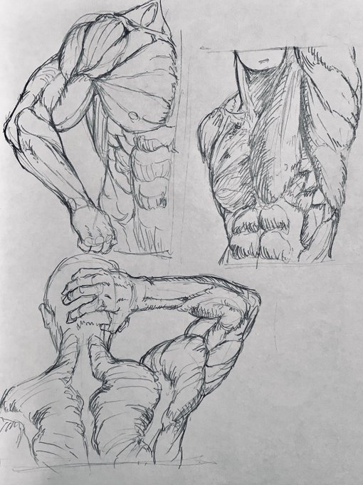 れんしゅー
筋肉とオッサン 