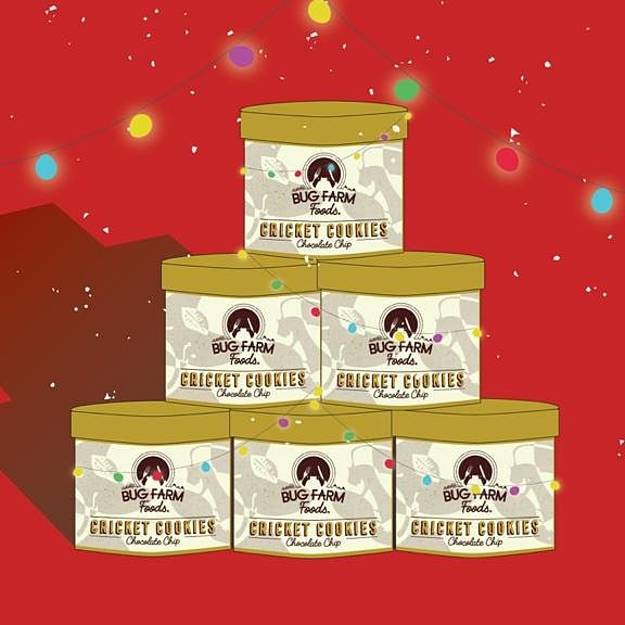 bugfarmfoods's tweet photo. Well, the last #Christmas post may have gone, but you can still buy our #CricketCookies &amp; edible insect ingredients at @thebugfarmUK Gift Shop. #thebugfarm🐞🐝🐜 #bugfarmfoods #edibleinsects #entomophagy #cookbakecreate https://t.co/KTLn4oZTrE