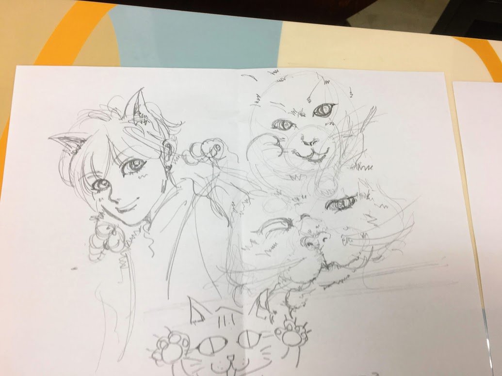 猫の描き方