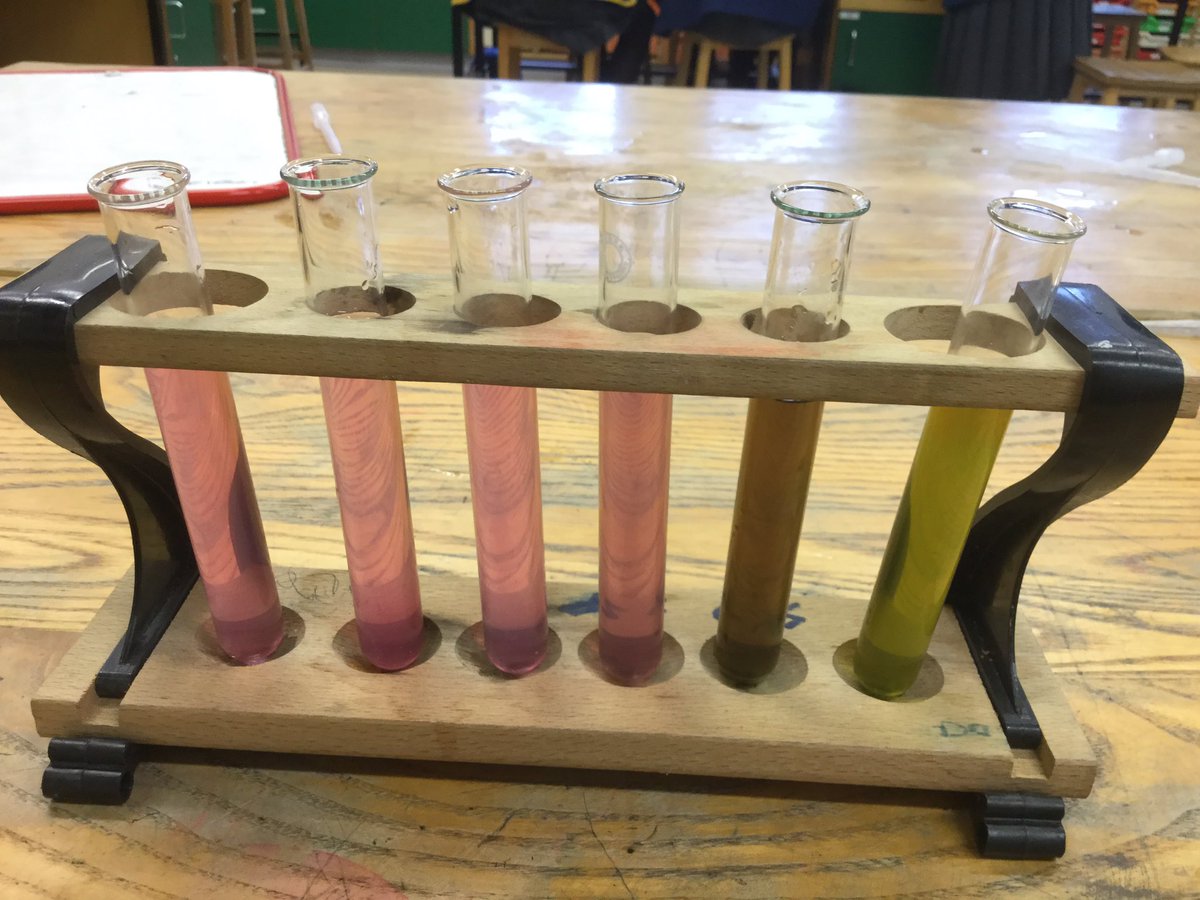 belfasthighchem's tweet photo. Great fun making indicators with poinsettia leaves - good practical for last week of term #compoundchem https://t.co/UZHwnoZitr