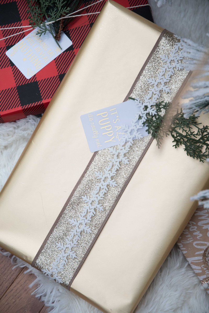 SpecialEventKey's tweet image. "Its a puppy. Its really not." #customgifttag #holidaygift