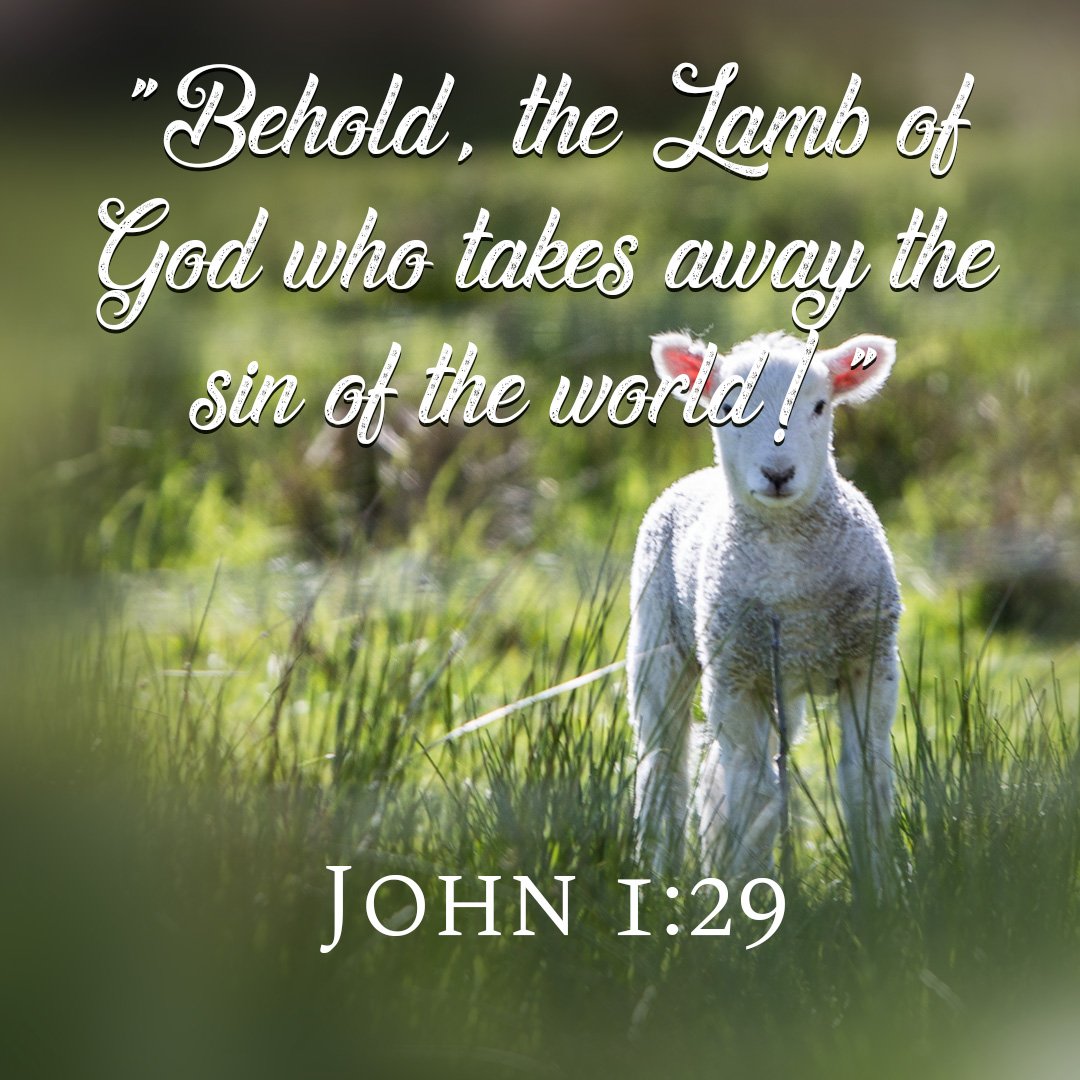 MoveChurchFL's tweet image. "Behold, the Lamb of God who takes away the sin of the world!" John 1:29

#Jesus #savior #pure #holy #love #sacrifice