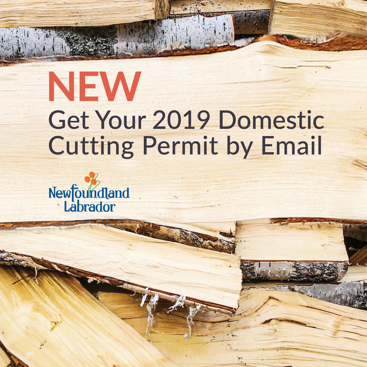 FAL_GovNL's tweet photo. Available January 2019! Renew online and receive your Domestic Cutting Permit by email!  To learn more visit: https://t.co/Ccnpm0ZUrw #nlforestry https://t.co/ptzNZ9Rh0M