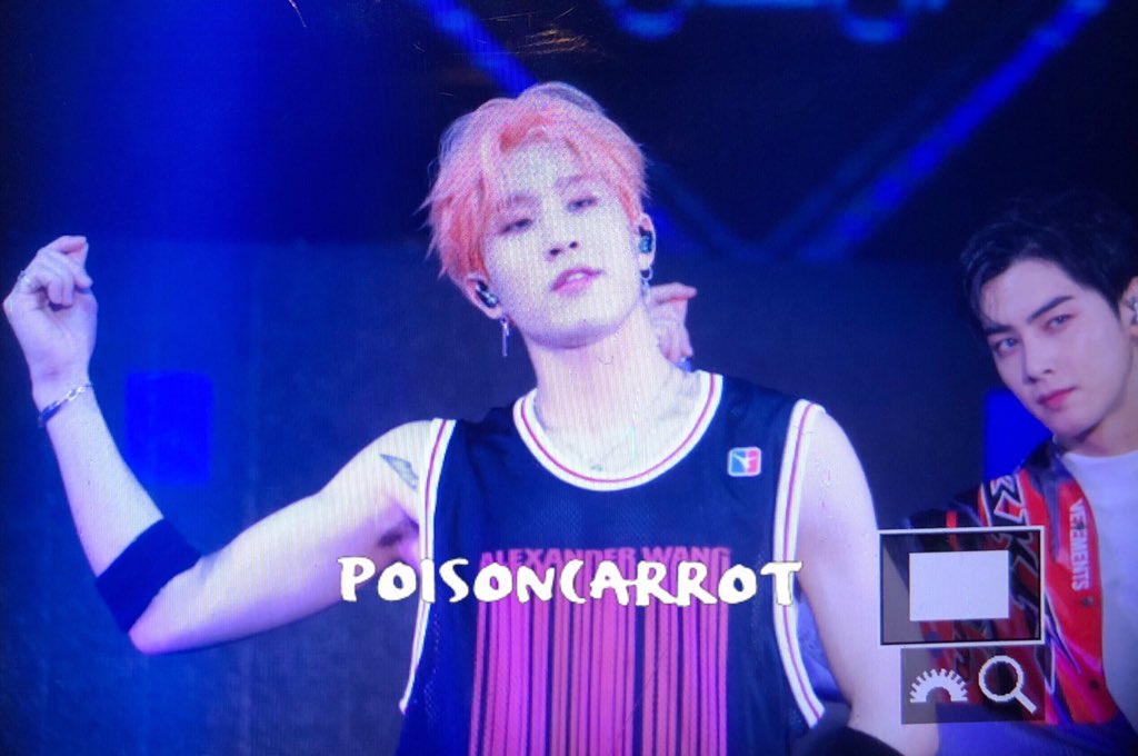 POISON CARROT tweet media