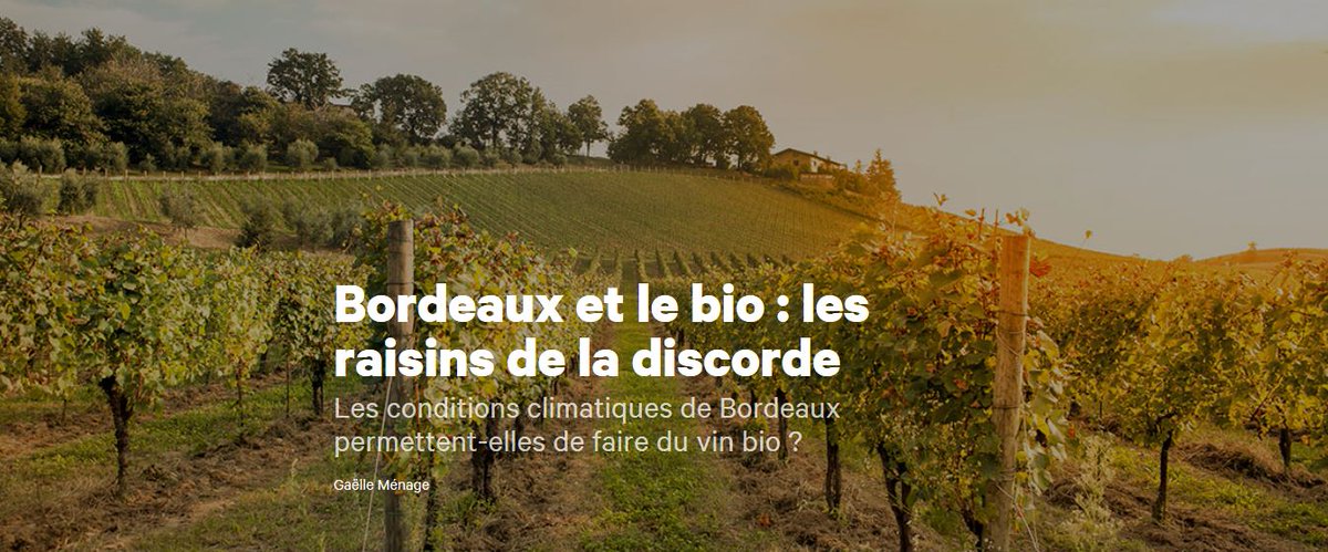 gmenage12's tweet photo. 🍷Retrouvez ma #GrandeEnquête sur le vin #bio à #Bordeaux. 👇
 https://t.co/Uz6v1h0YPG ! @EFJ_Officiel https://t.co/J7vlcjmKUz