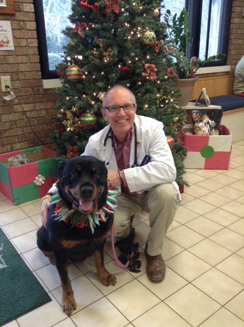 MayfairVet's tweet photo. @MayfairVet will be closed on Christmas Eve and Christmas day. Please call @QuartetVetNC for emergencies at 919-545-1001. @MayfairVet will be open on Wednesday 12/26/18 for the rest of the week with normal office hours. https://t.co/5jOUS9bhQ3