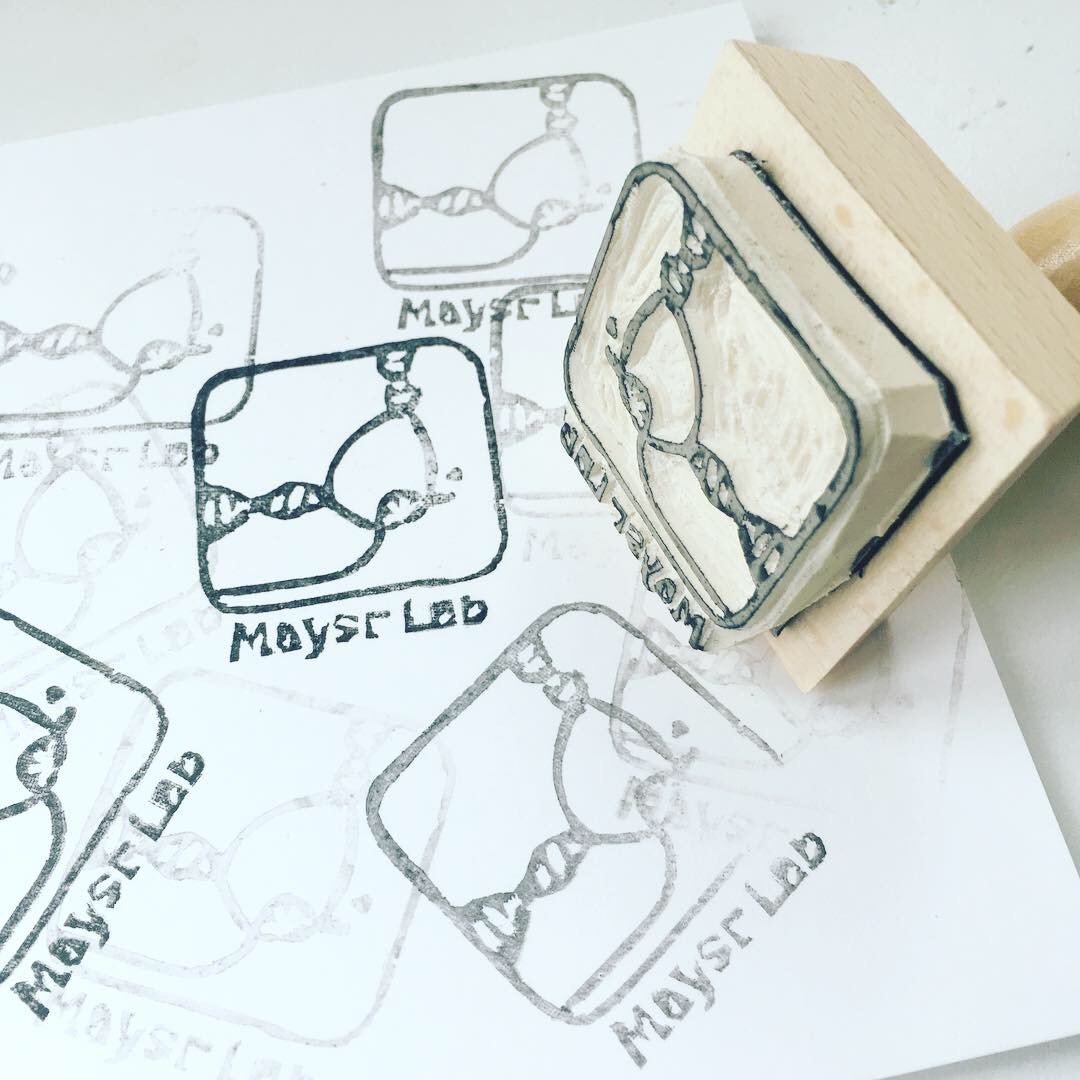 OlgaJasnovidova's tweet photo. This is now an official logo of our group (my design)! We will be soon 2 years old, I am so proud of us! But I am sharing this logo because it is also my comeback to designing and illustrating. #lablogo #mayerlab #scientificillustration https://t.co/aeAA81hSwU