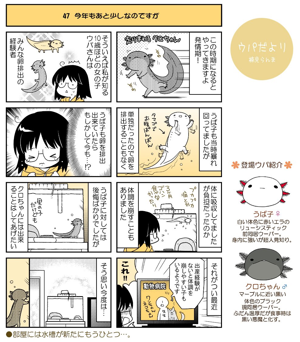 クスミ 楠見らんま ｊｋに告られた先生のマンガ連載中 Nekoyuku さんの漫画 99作目 ツイコミ 仮