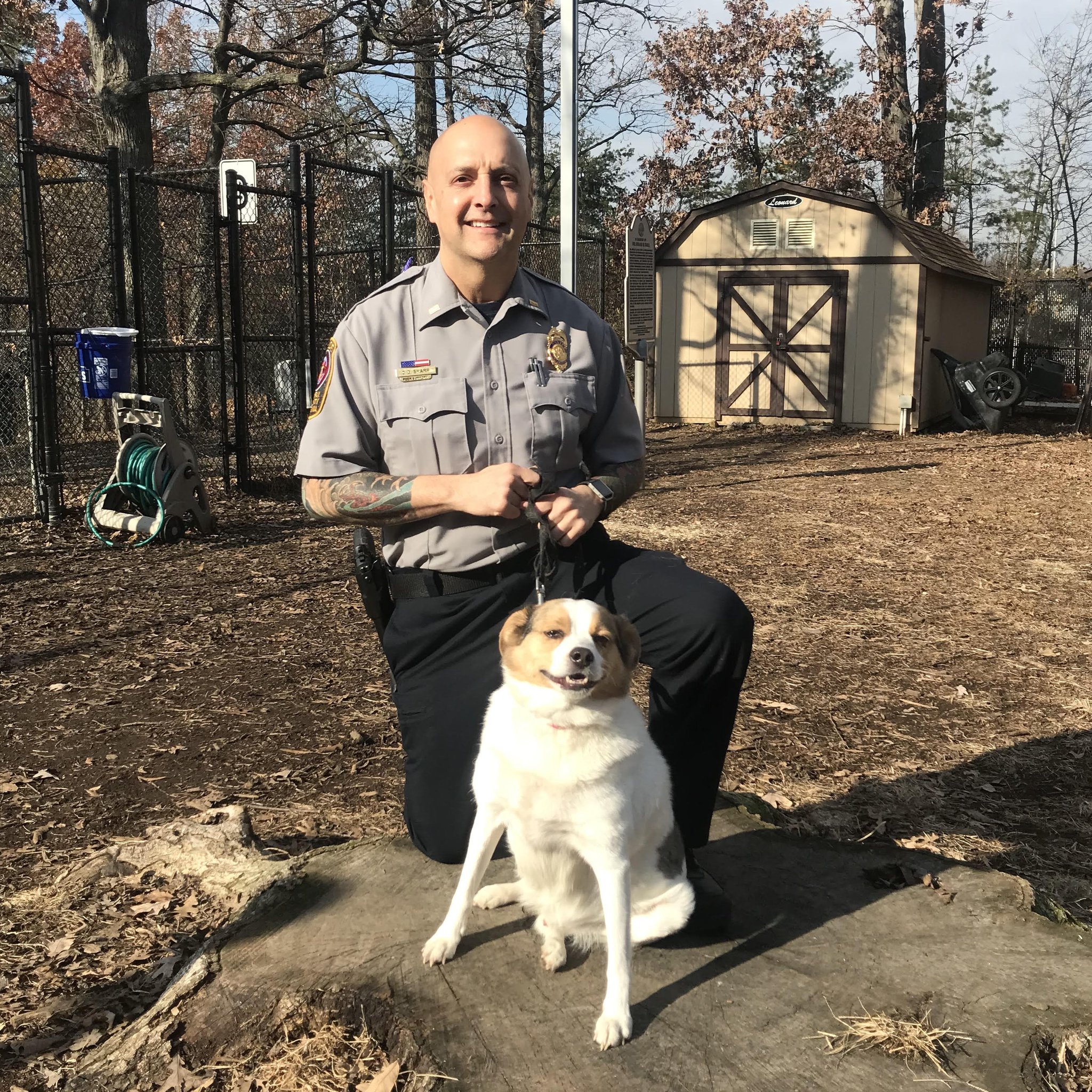 Fairfax County Police on Twitter: "Looking for a sweet yet quirky pup