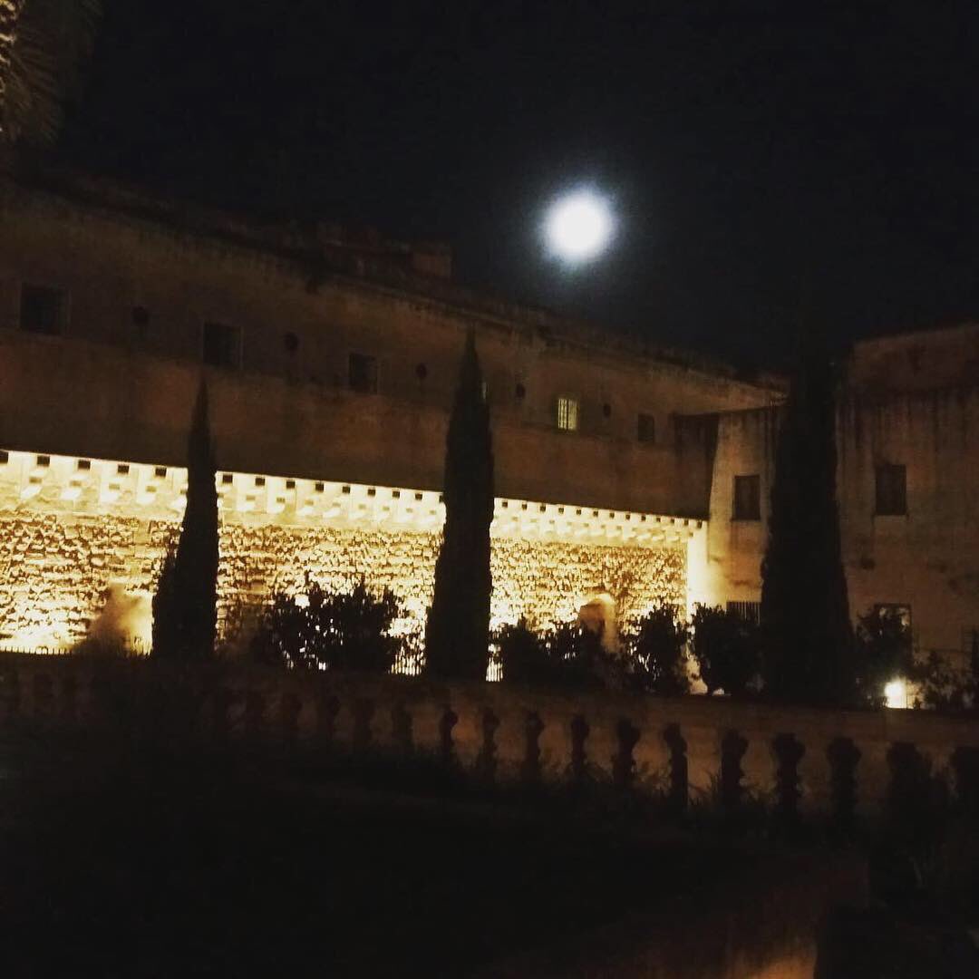 A #Lecce, giusto in tempo per il #Natale,  via le recinzioni del Parco delle Mura Urbiche che sarà finalmente visibile e fruibile da tutti. Un bene monumentale che racconta la storia della città e un nuovo parco verde cittadino aperto a tutti.
Open: #sabato #22Dicembre ore 16:30