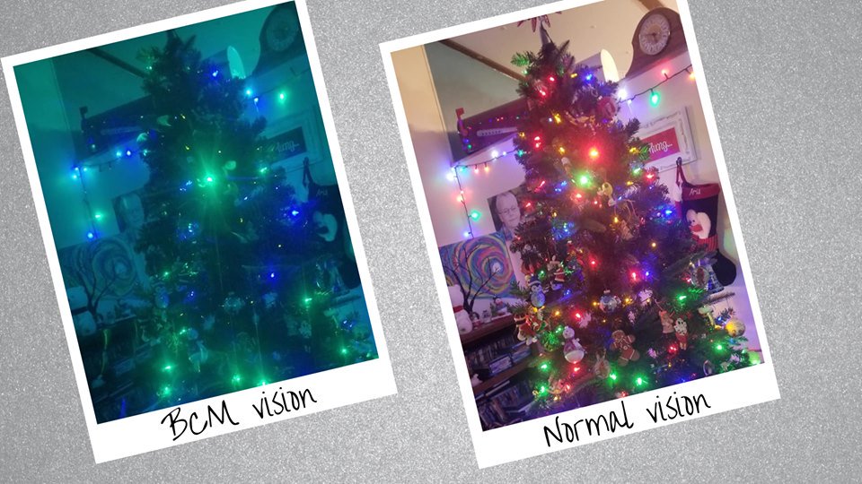 BCM_Families's tweet photo. A look into what some children or adults with BCM take in this Christmas. Many are legally blind, but some see like this and a range in between.Having a rare genetic disease means that spreading awareness is even more important. Thanks for caring about those with BCM!  #cure4BCM https://t.co/FZWqkq7nf4