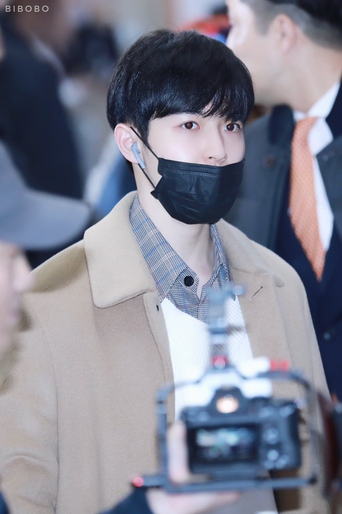 비보보 tweet media