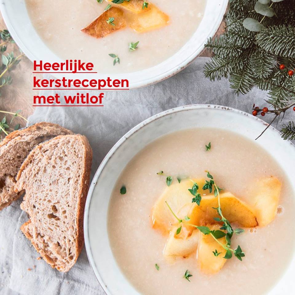 Weet jij al wat je op tafel gaat zetten met de Kerstdagen? Wat dacht je van een mooi gerecht met witlof of een heerlijk menu met witlof in iedere gang? Hartstikke lekker, gezond én veelzijdig! 
Doe hier inspiratie op: verseoogst.nl/blog/een-vroli… …