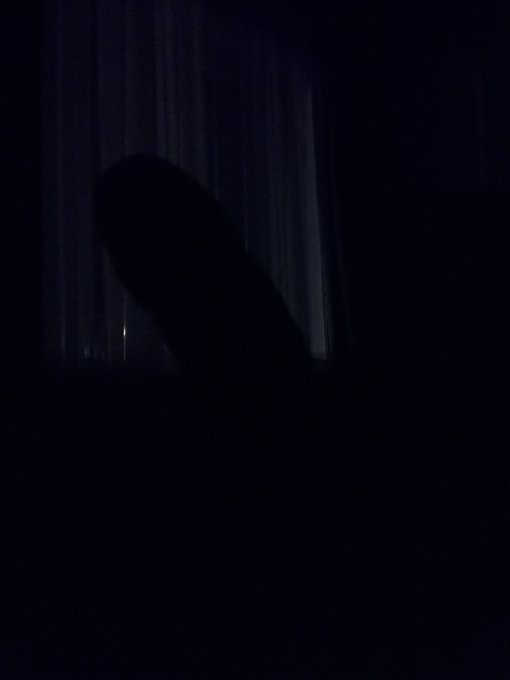 In the dark of night... What's this? https://t.co/VFgDW43tin