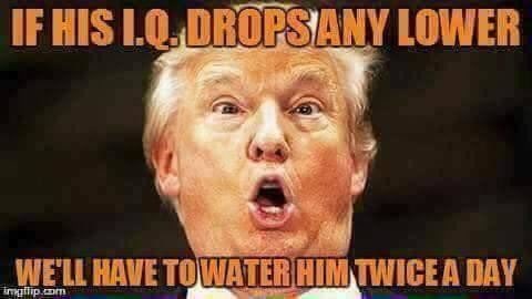 ForestintheF's tweet image. Thank you RBG, and Merry Christmas. You still take your job serious, instead of golfing at tax payer expense, when you're a billionaire. I think the trump salaries should be donated to magielargie so taxpayers don't have to foot the bill for golfing at trump properties.  #CompGov