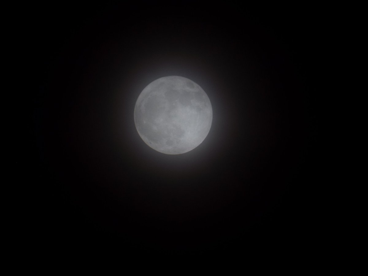zSweeney90's tweet photo. Tonight's  hazy full #moon @LMcGPhotography @FOXY3282 @Heathergarner78 @ScarboroughWx @Zavijavon @NixSmith73 @sar_swift https://t.co/1BXkjORya8