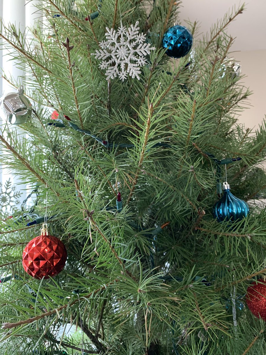 Pretty sure this thing is grass fed organic. There was no tag though, so I’m not quite sure.