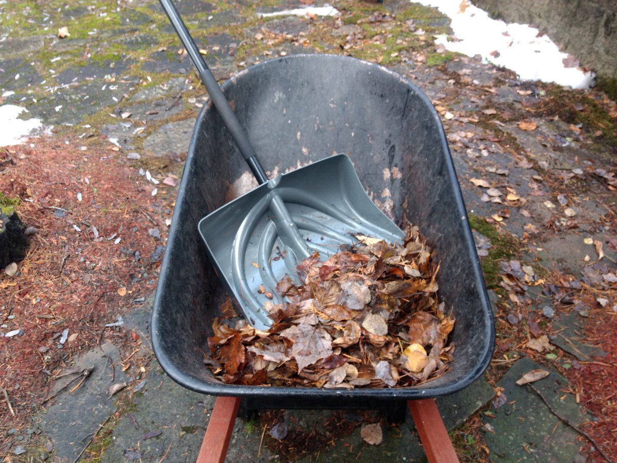 squidlybirch's tweet photo. Cleaning up leaves with the closest tool around
#nbstorm #nbwinter https://t.co/0cHCSVYd5O