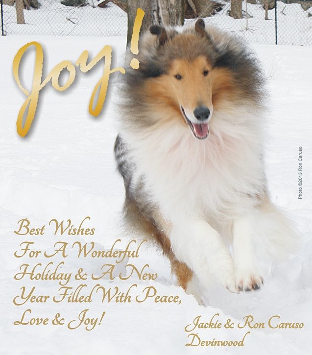 rjcar's tweet photo. Happy Holidays !! https://t.co/meIkHSgWgw