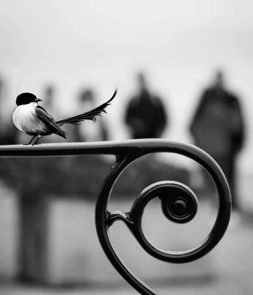 khaled_art4's tweet photo. https://t.co/yjxZGrifKs