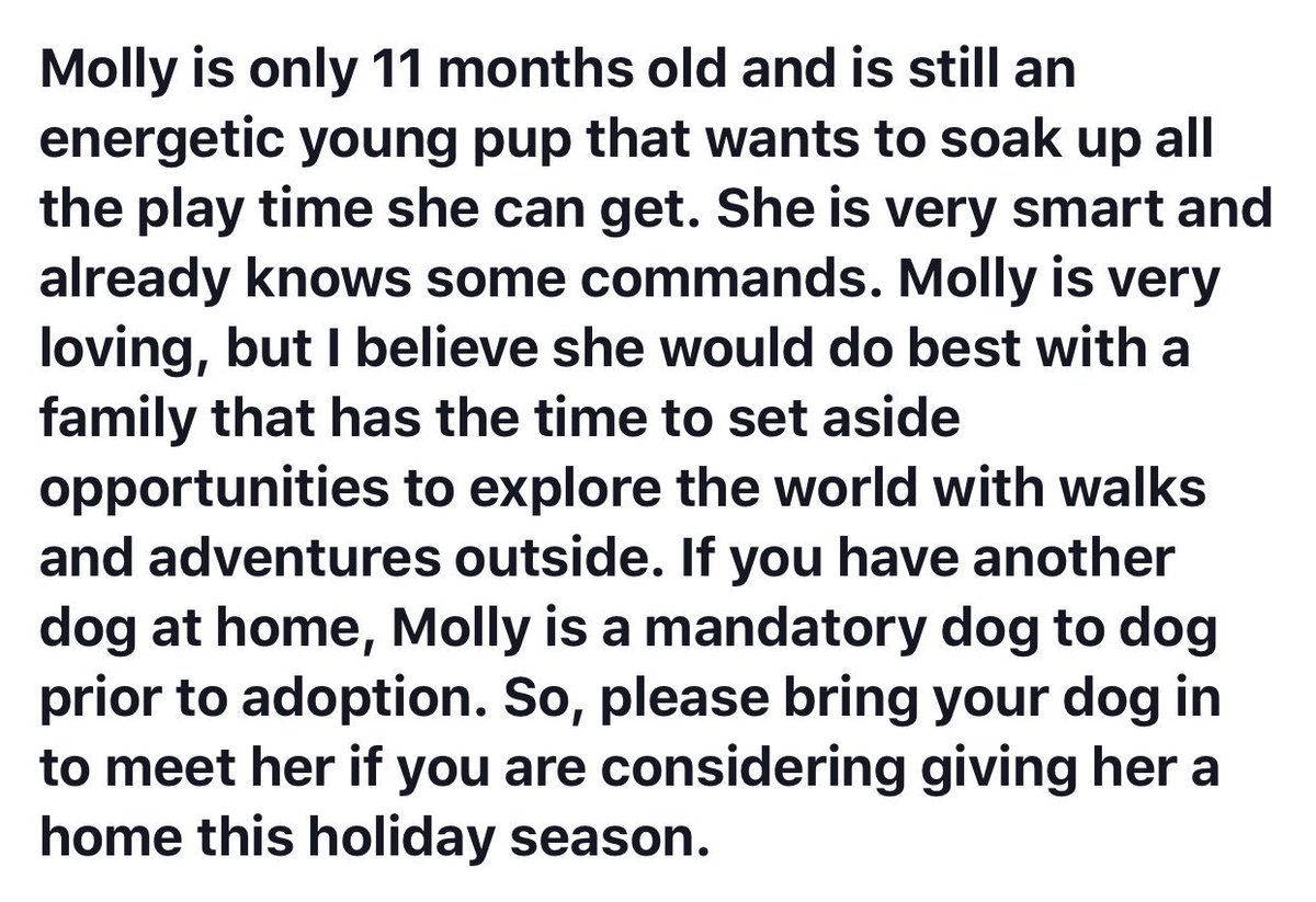 ToledoHumaneSociety tweet media