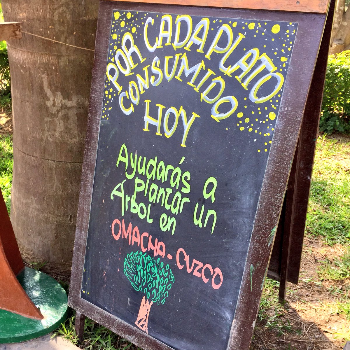 daphnecastillo's tweet photo. Almorzando siembras un árbol 👍🏻 #chaxras #sincañitas https://t.co/CR4PBXwwyB