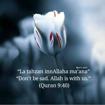 سبحان الله وبحمده    سبحان الله العظيم (@d2ef8c15b4ec47b) on Twitter photo 