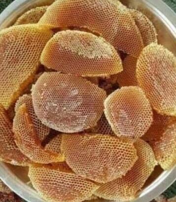 #بلغازي_عاصمه_الشهد